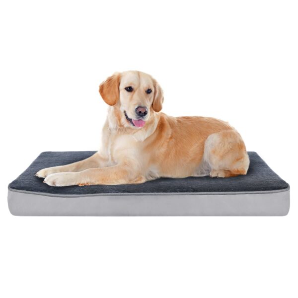 Orthopaedic Dog Bed